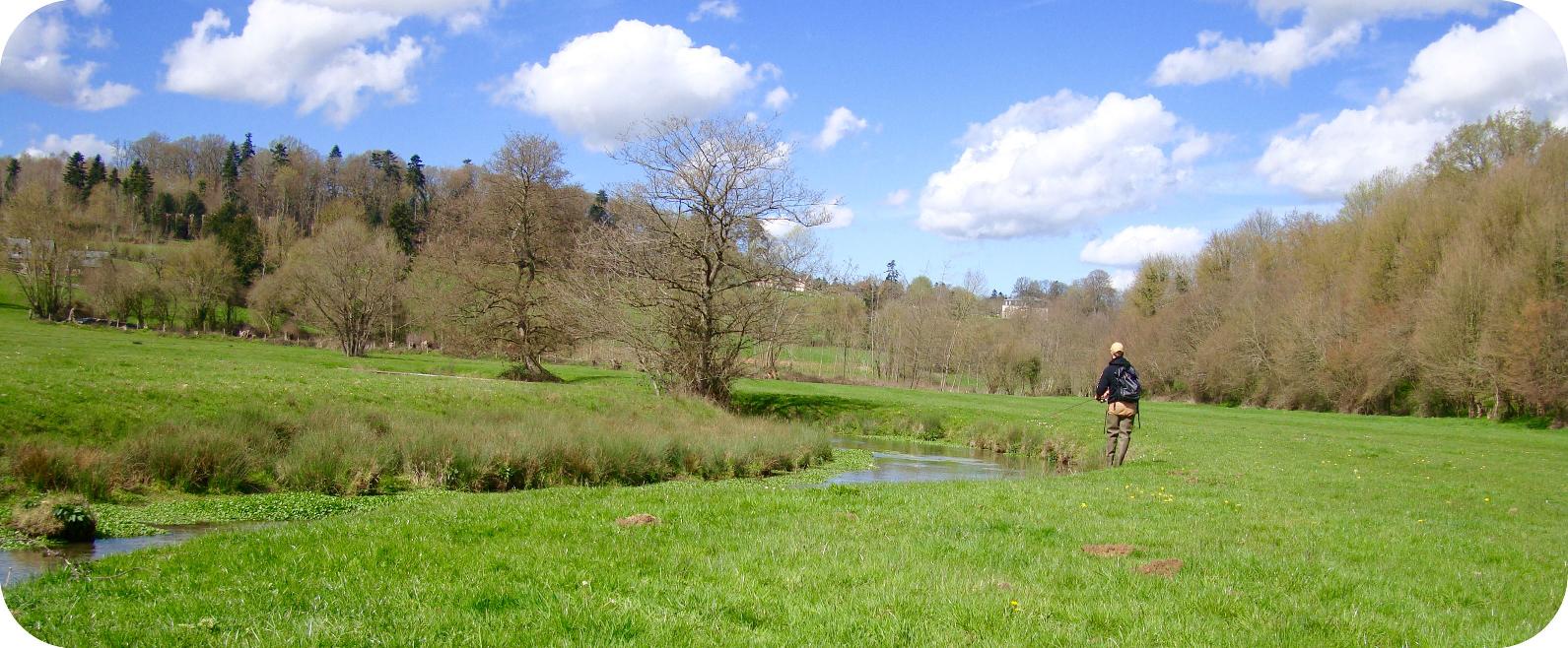 Canne à truite NFC FW 662 : Performance et sensibilité