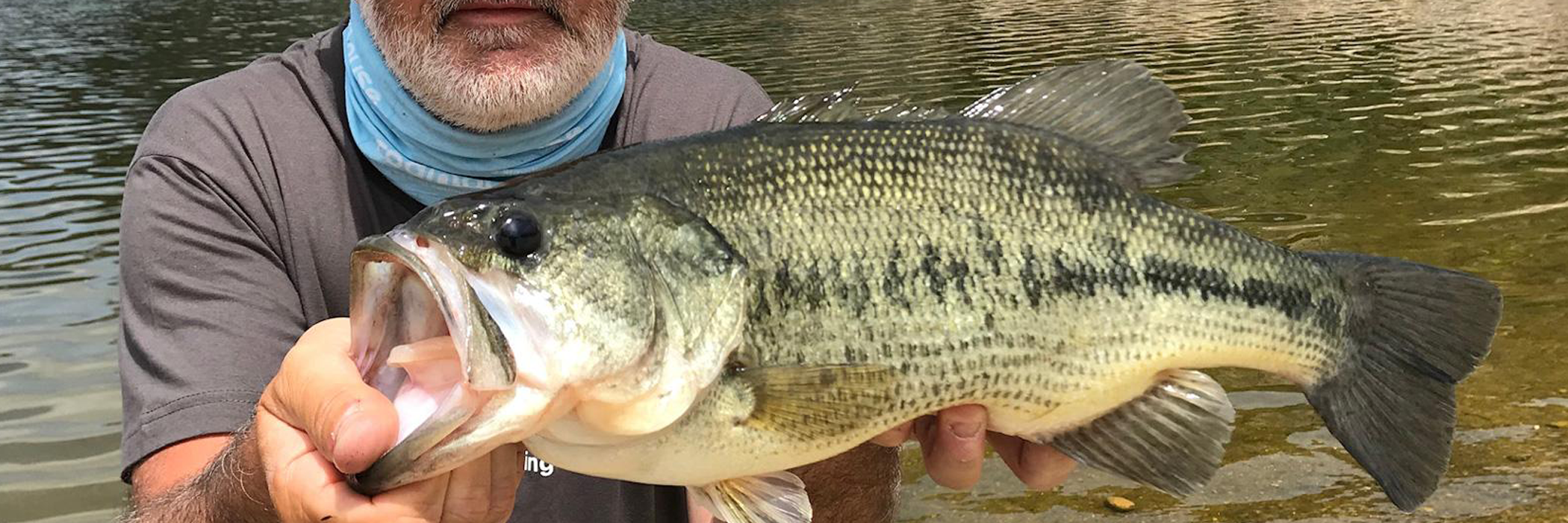 Le black bass au leurre