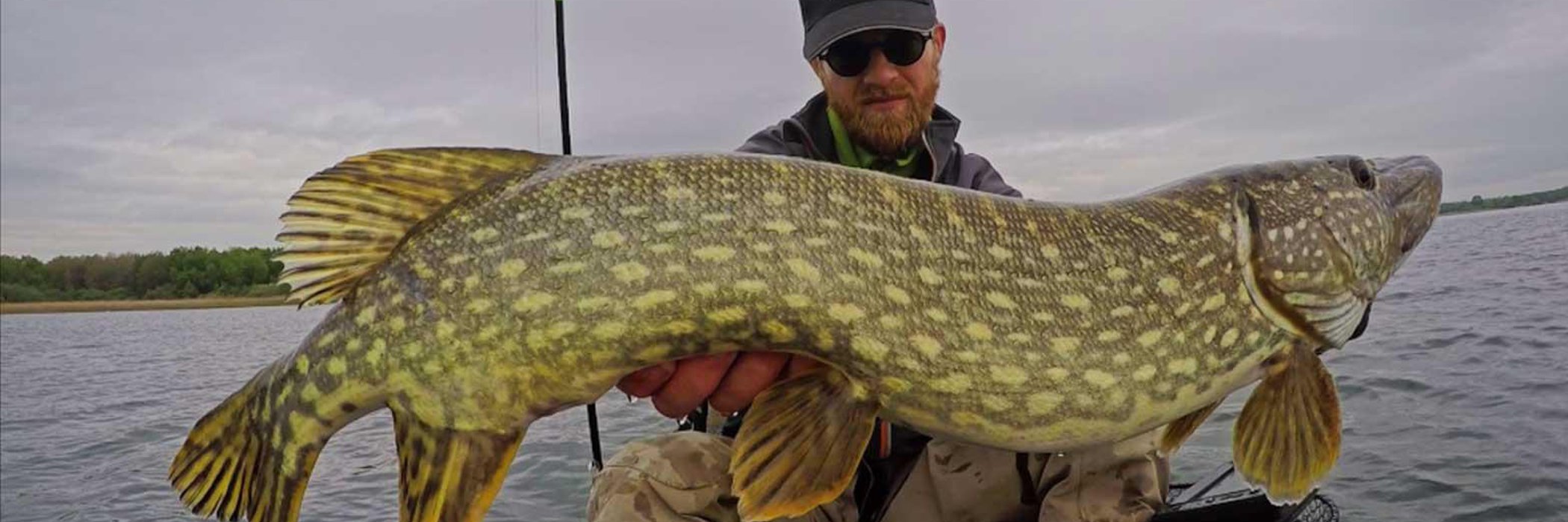 Le brochet au big bait en casting