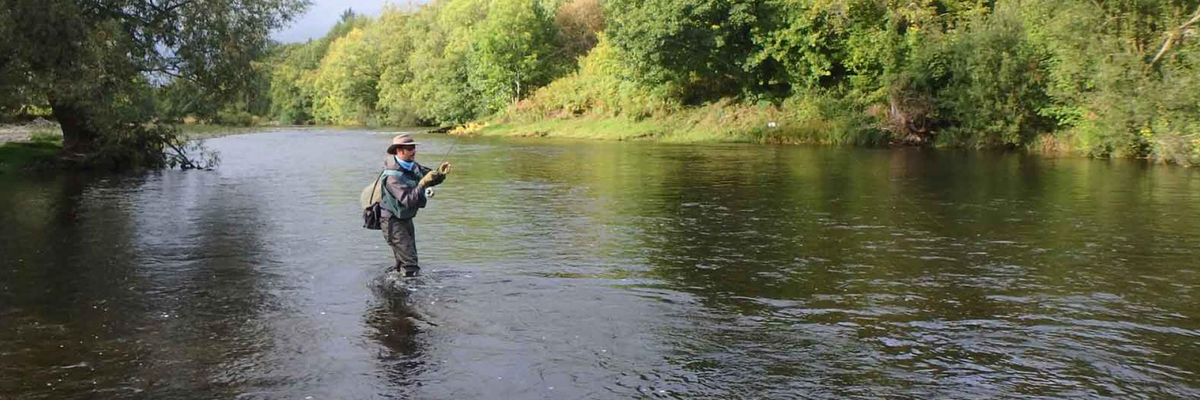 La pêche de la truite à la mouche, en grande rivière