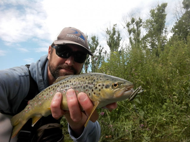 Saison de la truite 2015 : une fin de saison compliquée