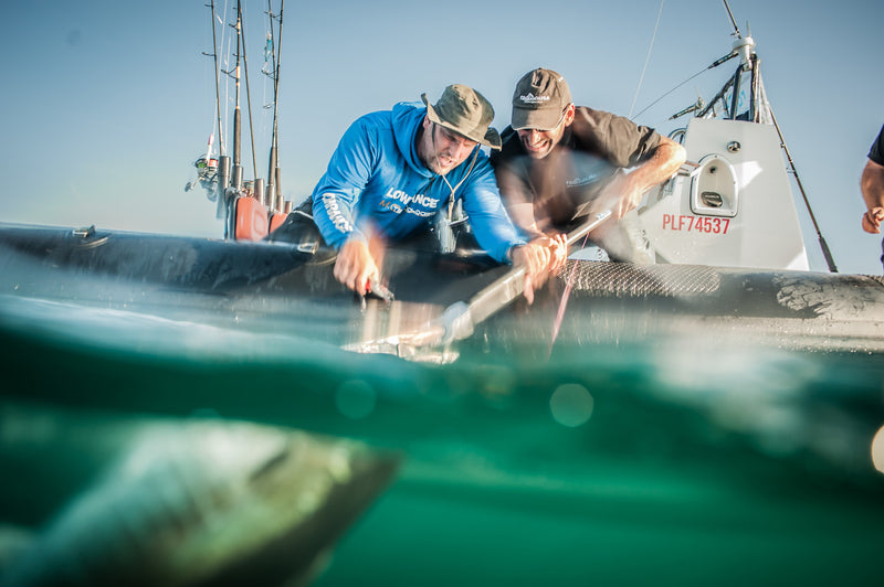 Les cannes pour le thon rouge et la pêche exotique