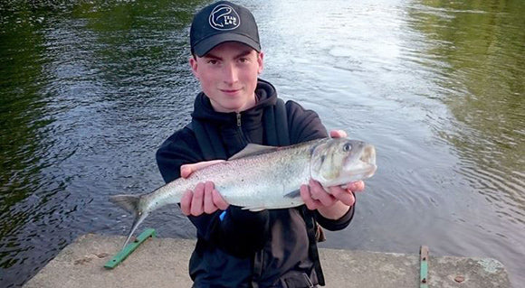 La quête de l'Alose