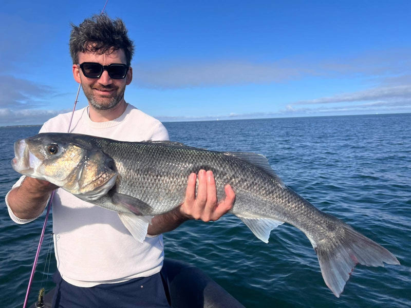 Bar de 84 cm pris au leurre et présenté à bord d'un bateau