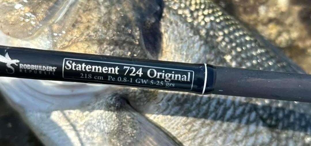 Les Statements, une série de blanks incontournable