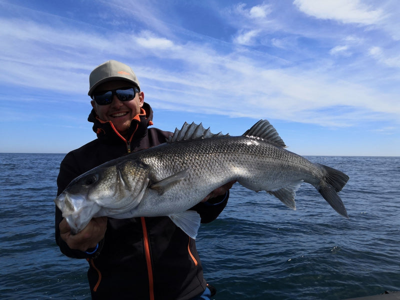 Bien choisir son blank pour la pêche en traction