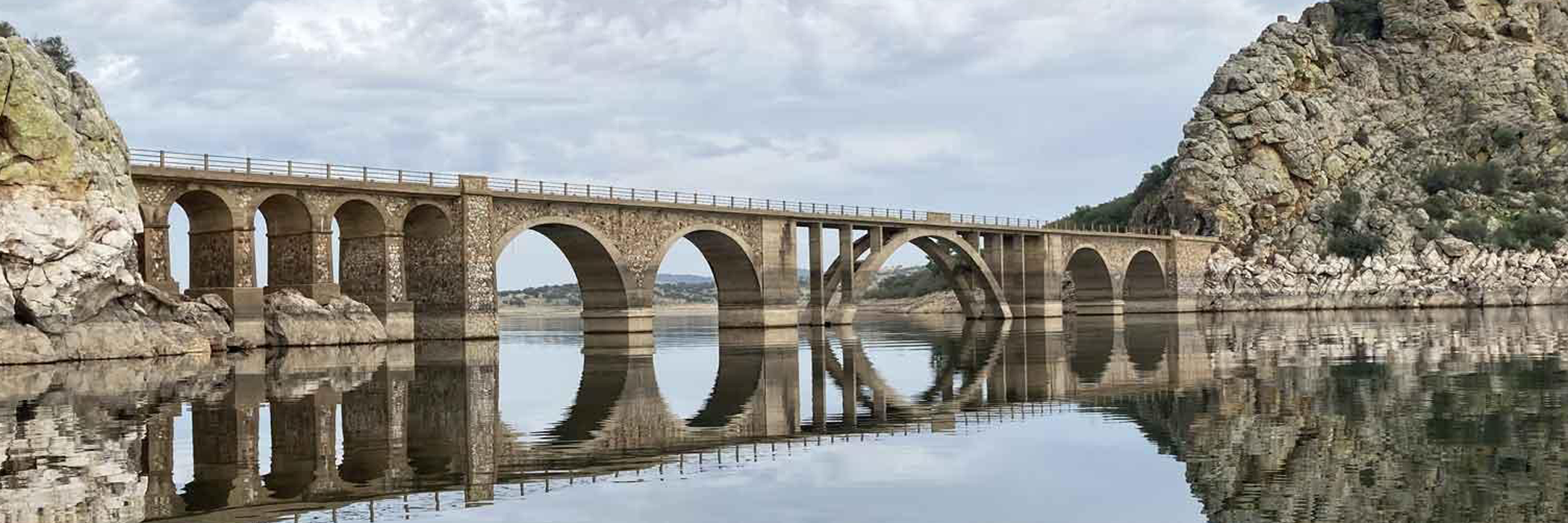 Zander pro : Le fagot de Tony