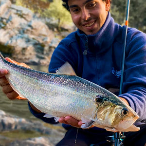 Fishing rods for Shad