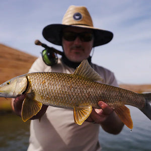 Fishing rods for Barbel