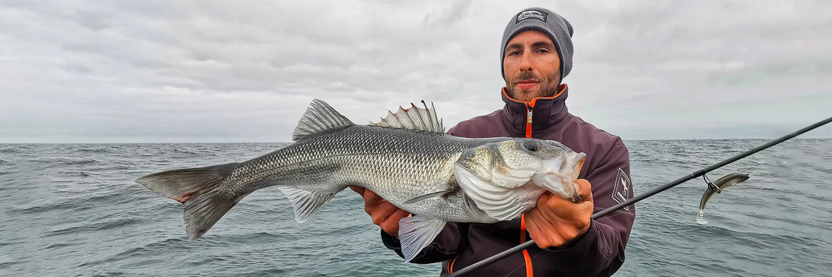 Canne da pesca per la Spigola