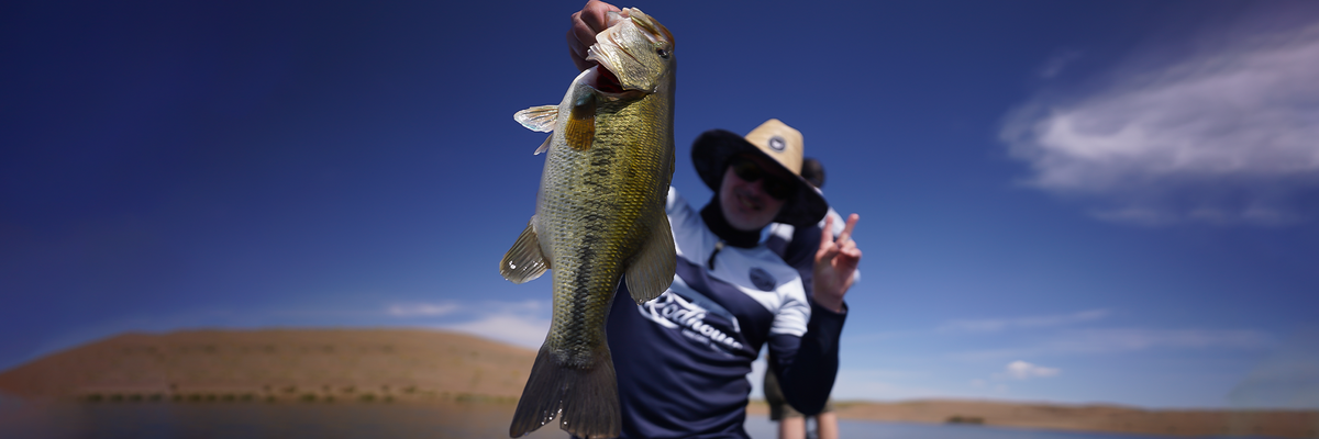 Black bass