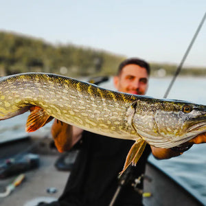 Pike fishing rods