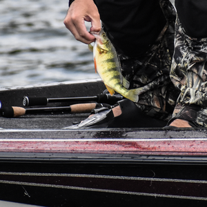 Blanks for Dropshot Fishing