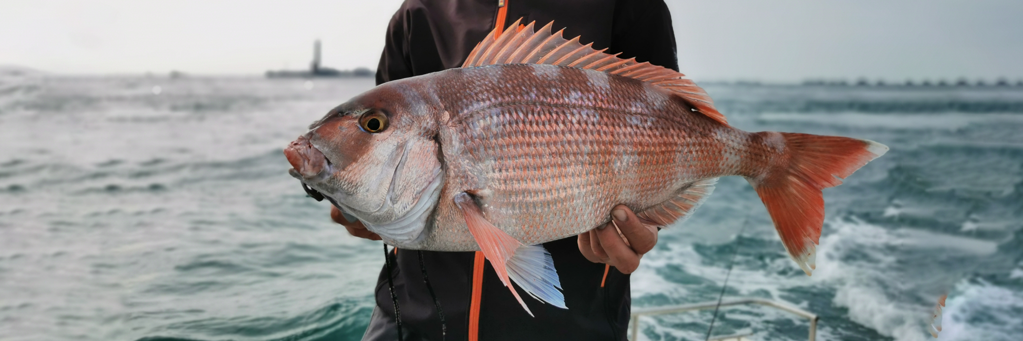 Blanks pour la pêche en Jigging Mer