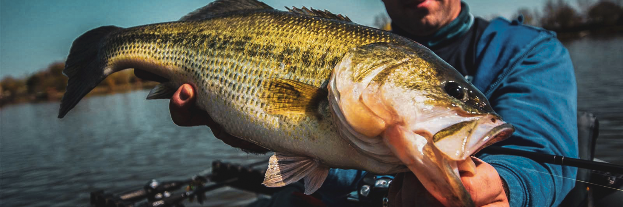 Blanks pour la pêche au Ned Rig