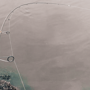 Blanks for finesse fishing