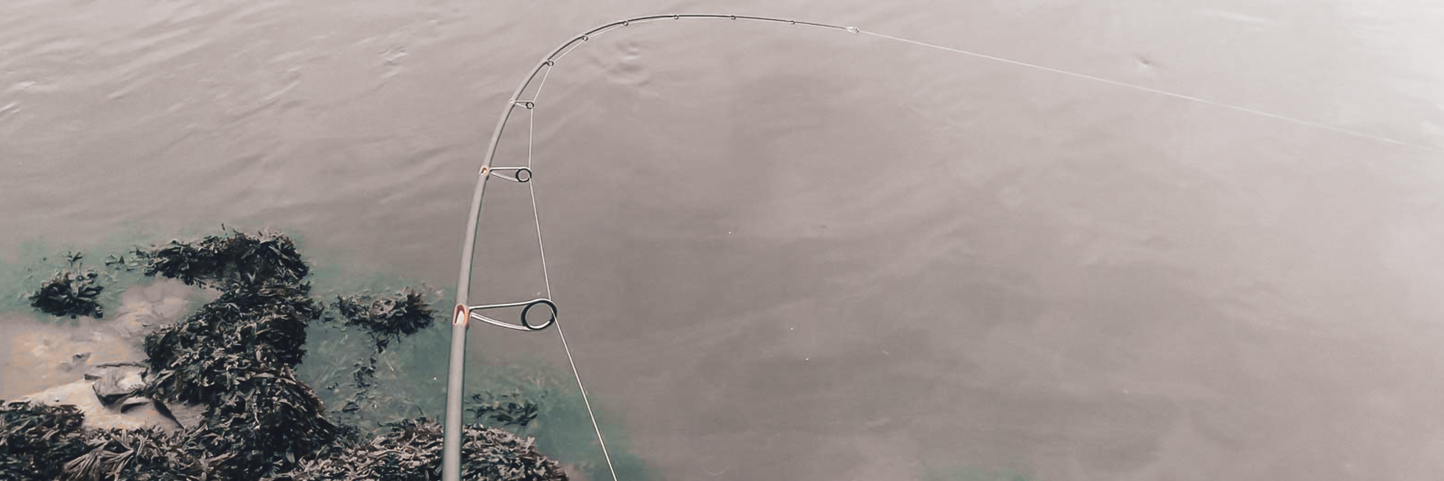 Blanks pour la pêche Finesse