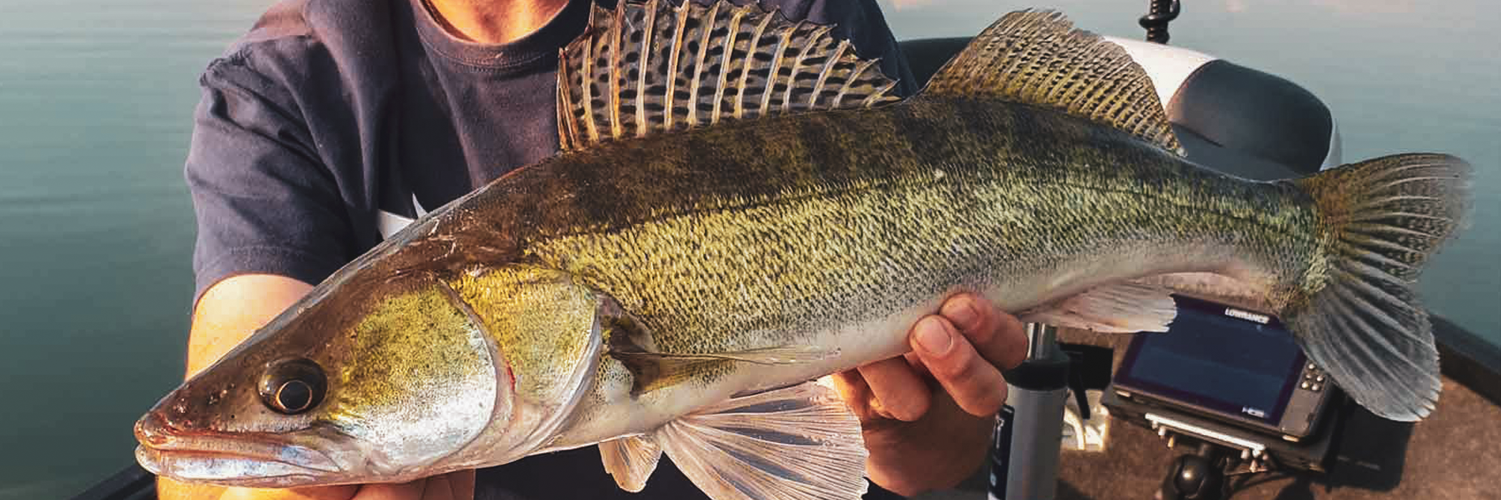 Blanks pour la pêche en Verticale