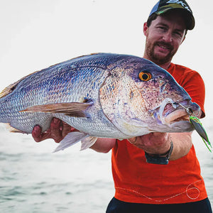 Fishing rods for Dentex