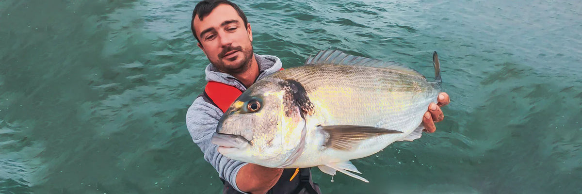 Canne da pesca per l'Orata