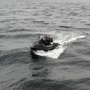 Blanks pour la Dorade