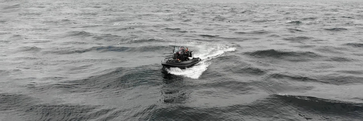 Fishing rods for Sea bream