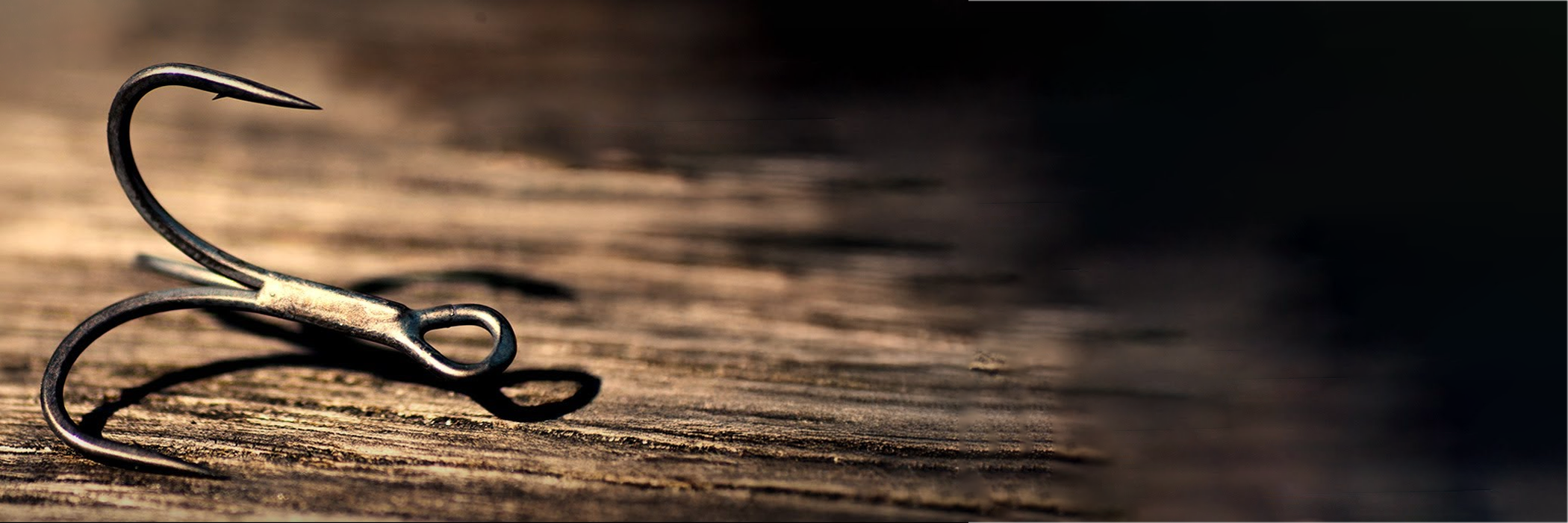 Produits de la marque Gamakatsu