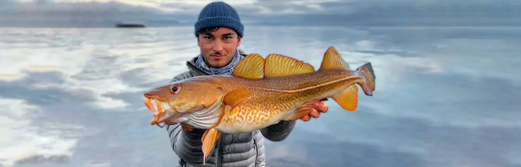 Leurres pour le Cabillaud