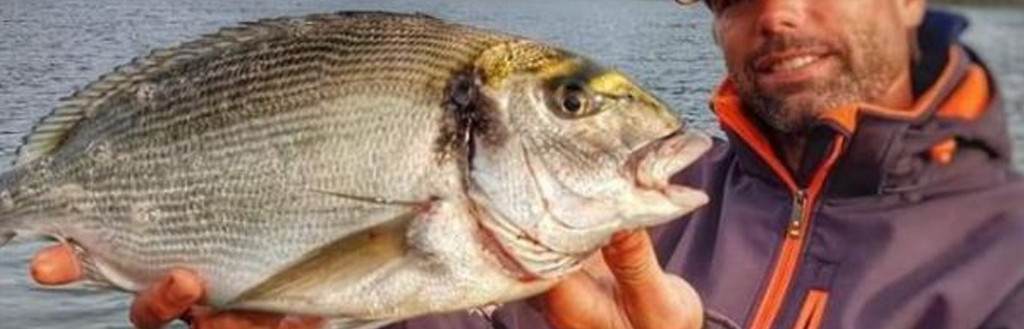 Leurres pour la Dorade royale