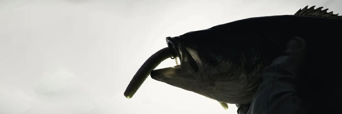 Leurres Worm