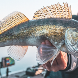Blanks for Jigging Rap and Paddle Lead Fishing