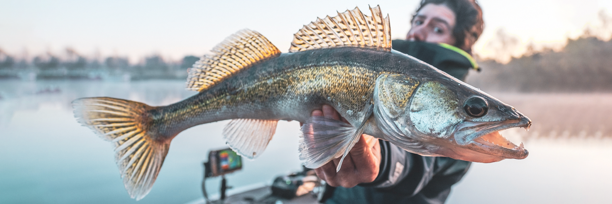 Blanks pour la pêche en Jigging Rap et Plomb Palette