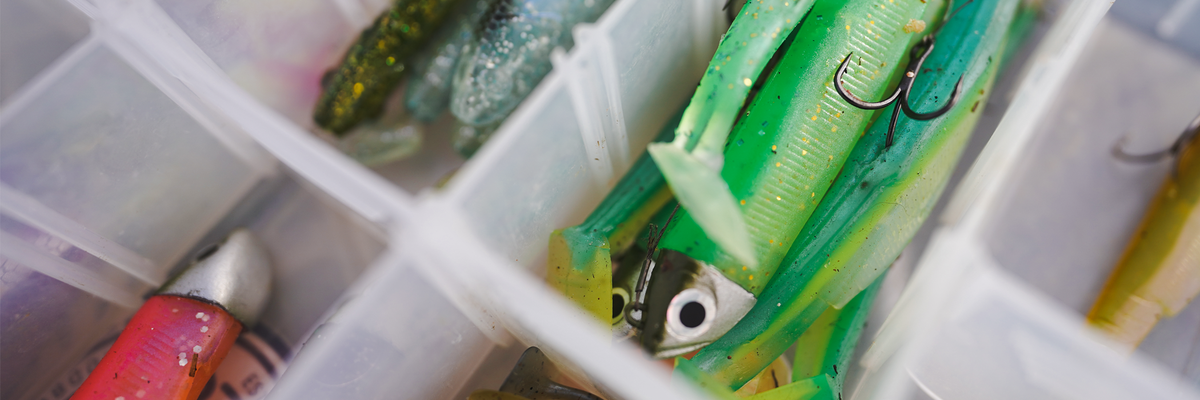 Lures by species