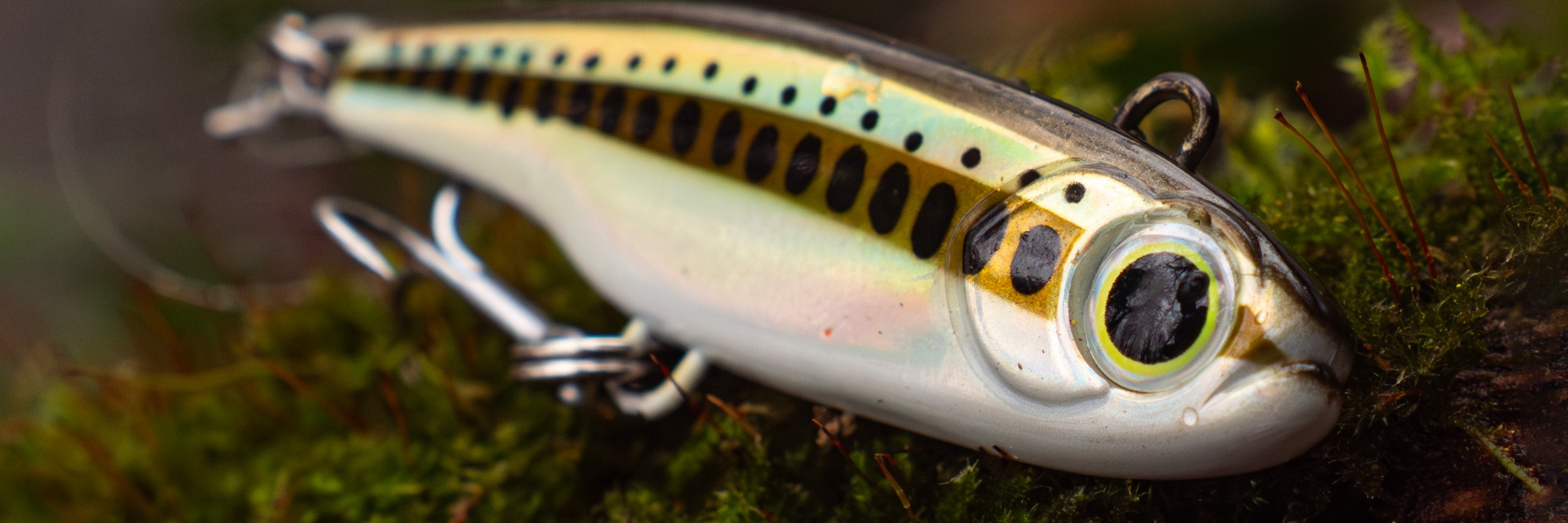 Produits de la marque Fiiish