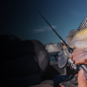 Lures for zander