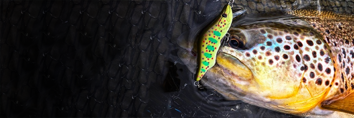 Produkte der Marke Sico Lures