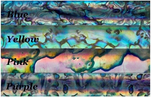 Foil RodWrapz Abalone