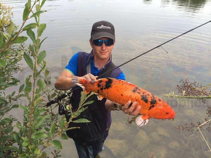 TR 74 Super Mebaru-L