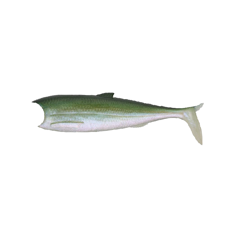 Breizh Shad Gummiköder