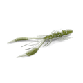 Leurre souple Nays CRTR 40 insecte