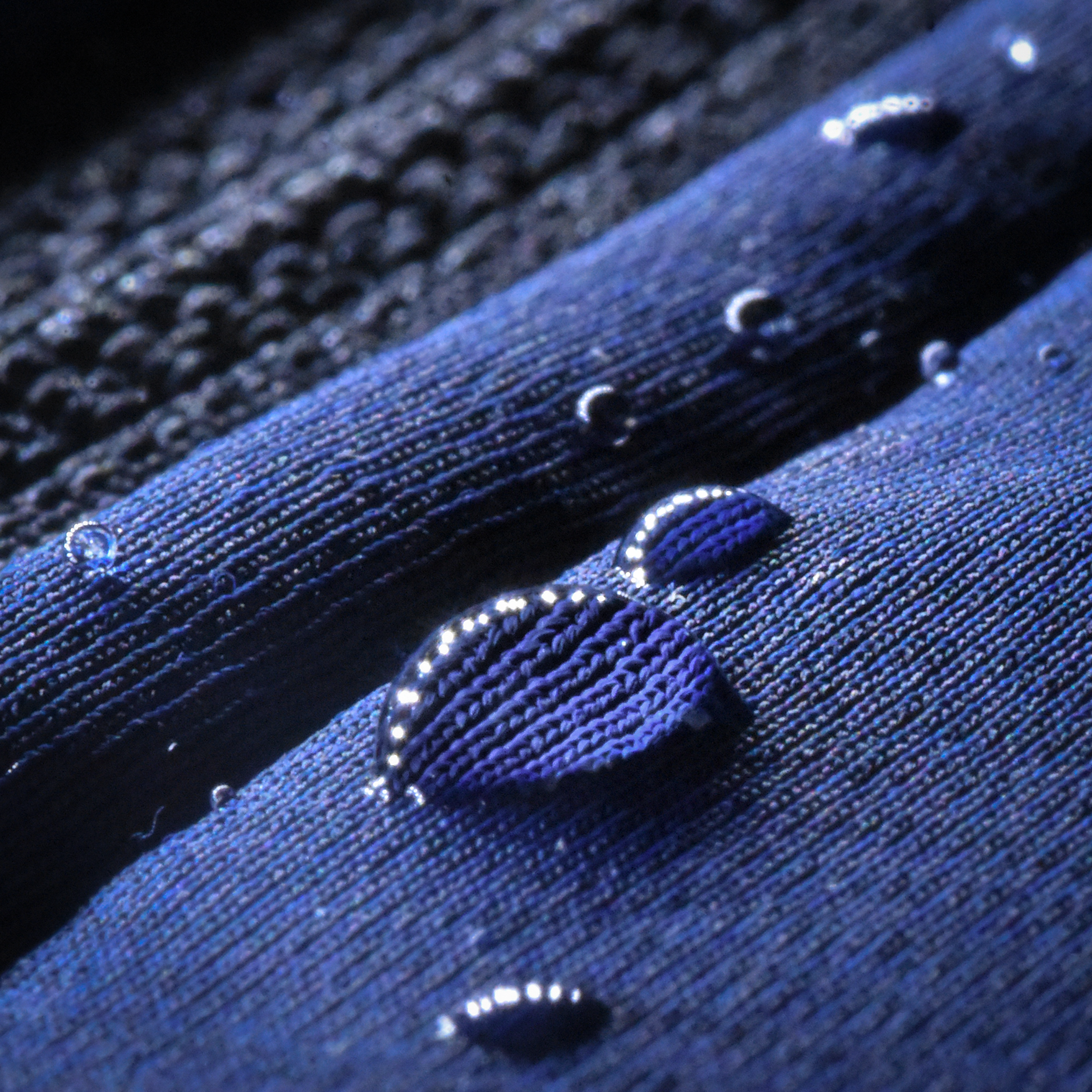 Softshell Rodbuilders' Republic