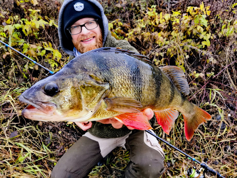 Perch