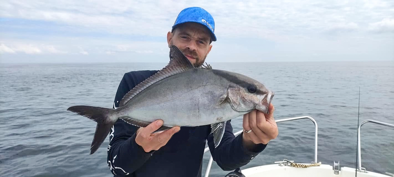 Amberjack
