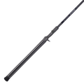 Castingrute Pike Pro Ireland Signature 2m29 (30 - 90 g)