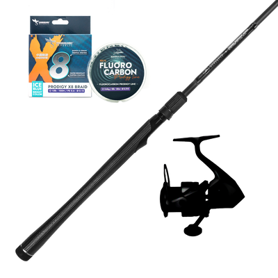 Pack WKS-DS721-1X-RAY All in one