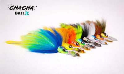 Chacha Bait Junior