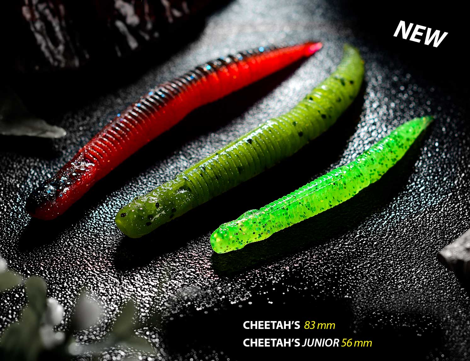 Cheetah's Pintail Elitelure