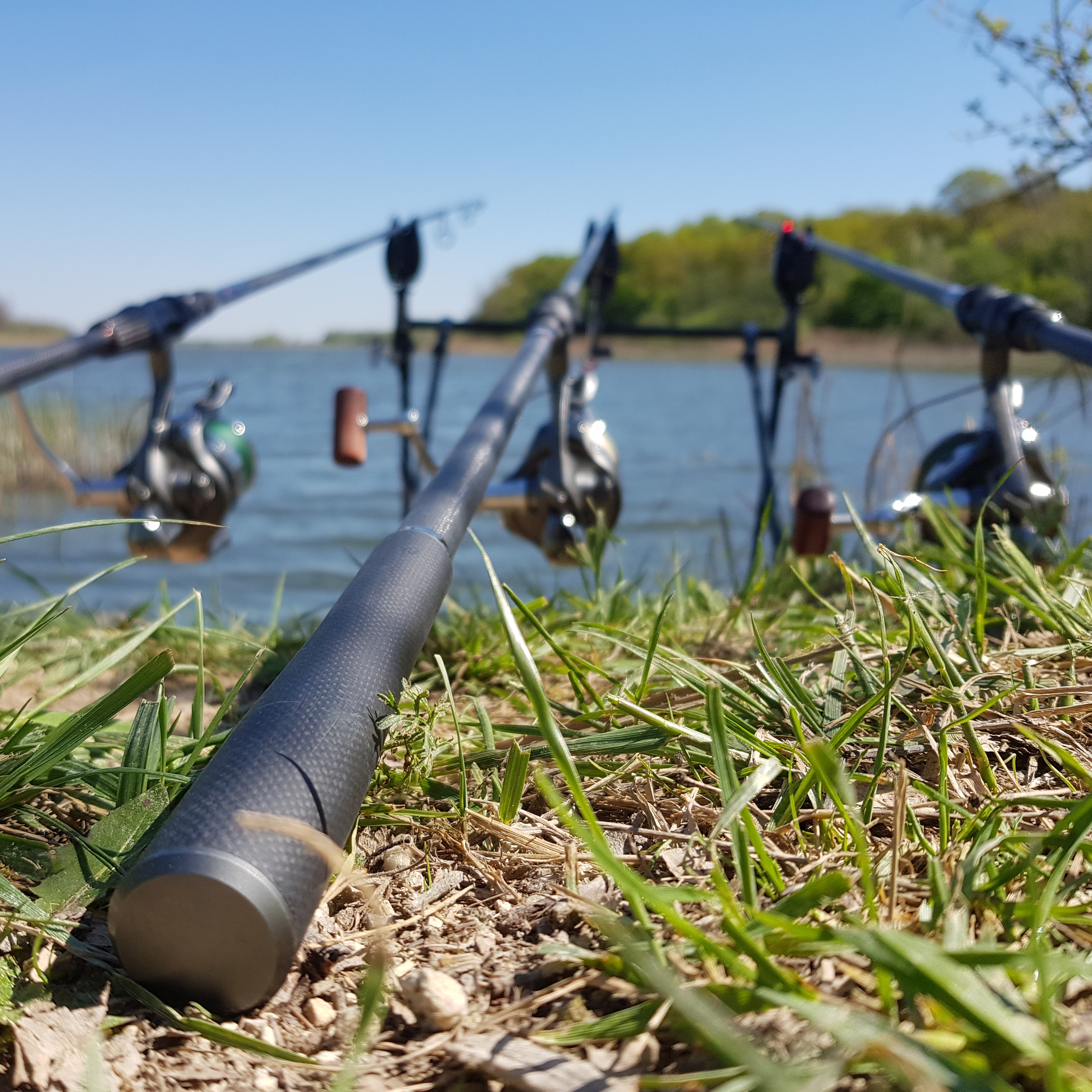 The Bee - Custom Fishing Rods