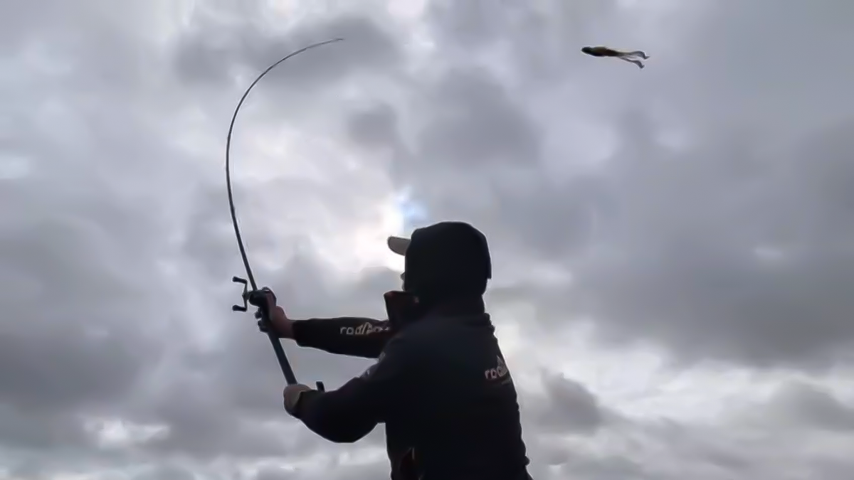 20 blanks swimbait passés au crible