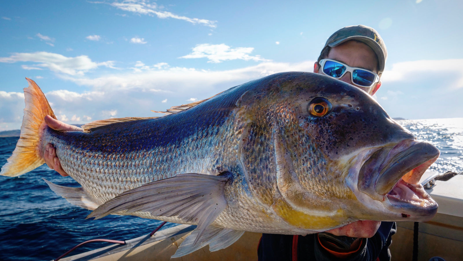 Sériole et denti en Méditerranée : slow jigging et traîne lente